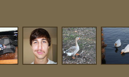 25�����Ҫѧ���jQuery�õ�Ƭ����̳̣��У�