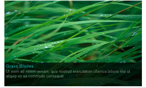 25�����Ҫѧ���jQuery�õ�Ƭ����̳̣��У�