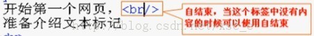HTML之一天学会html(惯用标签+网页架构)