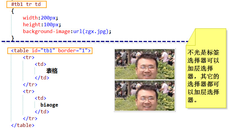 CSS