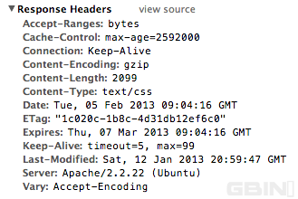 ������ҳ�����ٶ��Ż���һЩ����