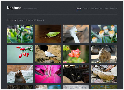 101个精简清爽的WordPress主题