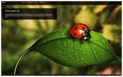 101个精简清爽的WordPress主题