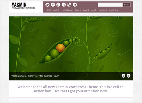 101个精简清爽的WordPress主题