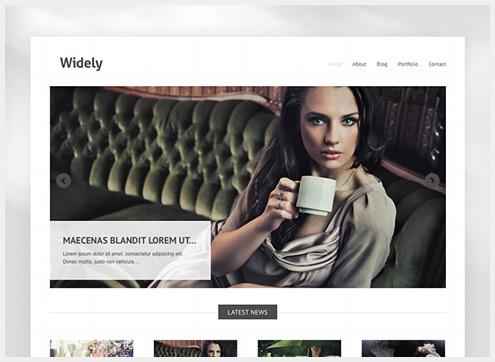 101个精简清爽的WordPress主题