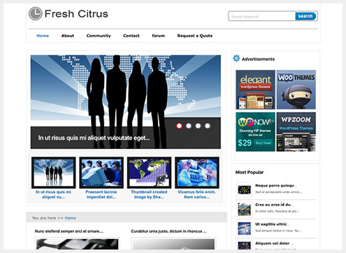 101个精简清爽的WordPress主题