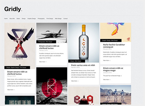 101个精简清爽的WordPress主题