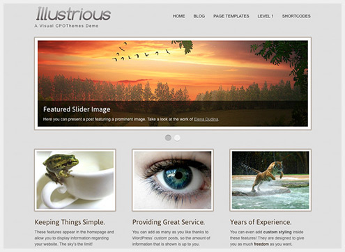 101个精简清爽的WordPress主题