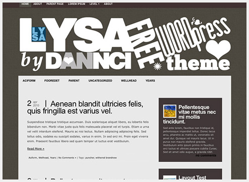 101个精简清爽的WordPress主题