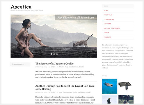 101个精简清爽的WordPress主题