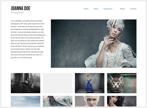 101个精简清爽的WordPress主题