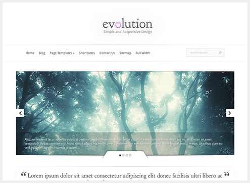 101个精简清爽的WordPress主题