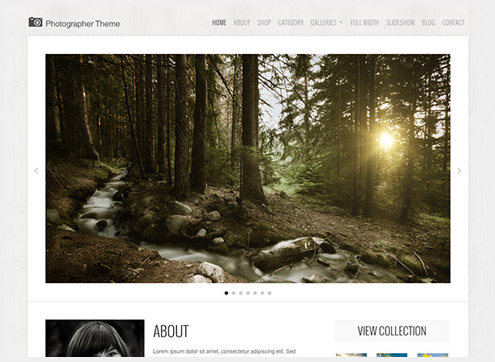 101个精简清爽的WordPress主题