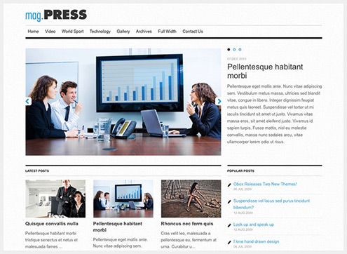 101个精简清爽的WordPress主题