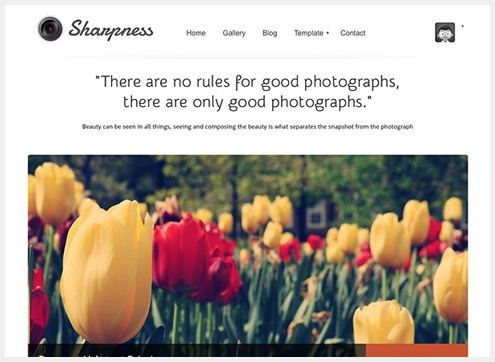 101个精简清爽的WordPress主题