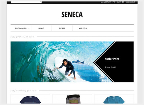 101个精简清爽的WordPress主题