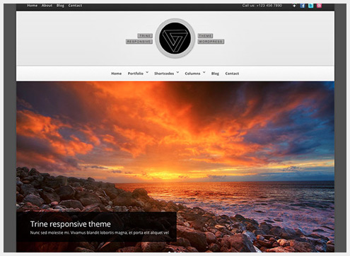 101个精简清爽的WordPress主题