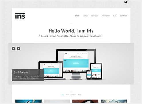 101个精简清爽的WordPress主题