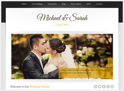 101个精简清爽的WordPress主题