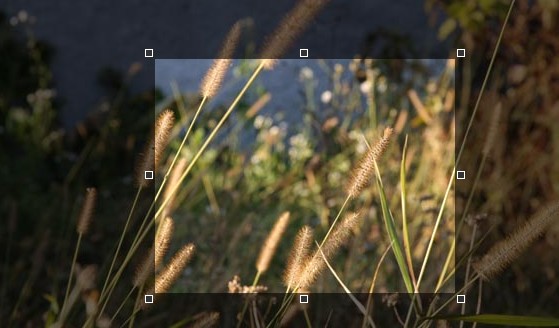 33个jQuery成效实例