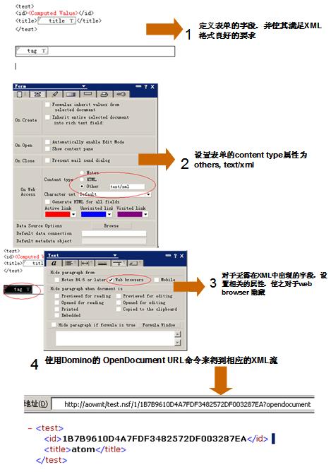  IBM Lotus Domino  Web 2.0 õʵ