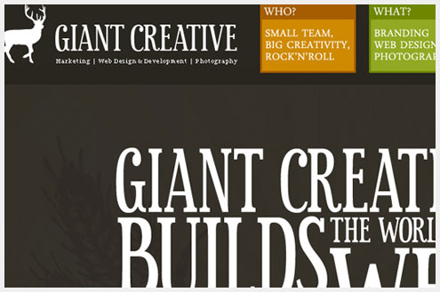 50个有创见的单页网站设计