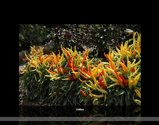 分享33个优秀的 jQuery 课程