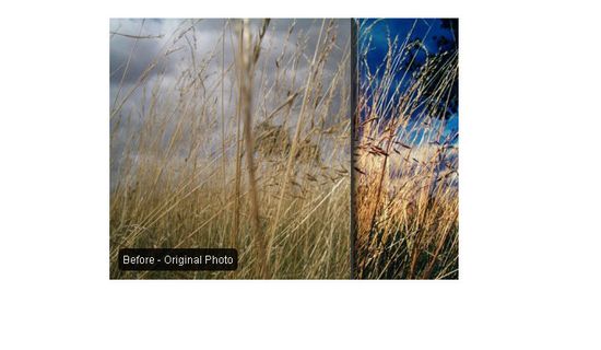 分享33个优秀的 jQuery 课程