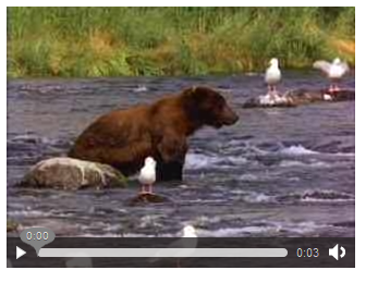 ��HTML5�������HTML5��webӦ��ϵͳ��������