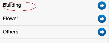 Sencha touch 2 - ����ڰ�list�����ݶ�̬���䵽����һ��view
