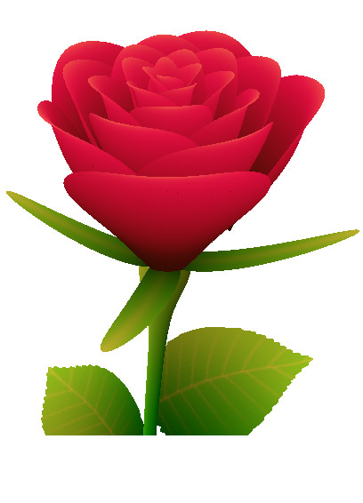 HTML5����õ��