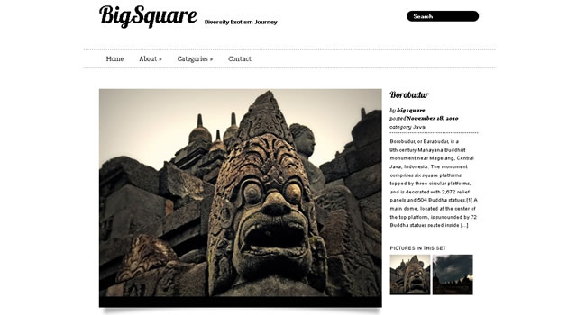 2011��30����õ����WordPress���⣨�£�