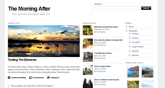 2011��30����õ����WordPress���⣨�£�