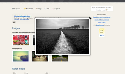 十个最佳jQuery Lightbox效果插件收集