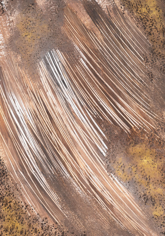 ����ʮ����������ѻ�ͼ����ͼ��