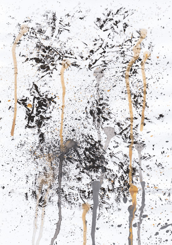 ����ʮ����������ѻ�ͼ����ͼ��