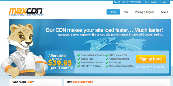 25 ��ҵ��վ��Ƶ�����