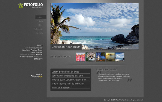 50��Ư����ѵ� WordPress ���⣨�£�