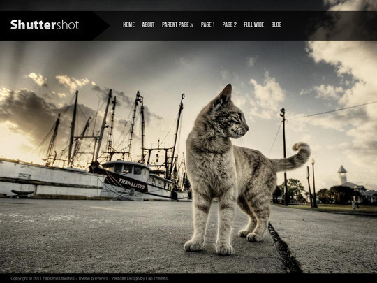 50��Ư����ѵ� WordPress ���⣨�£�