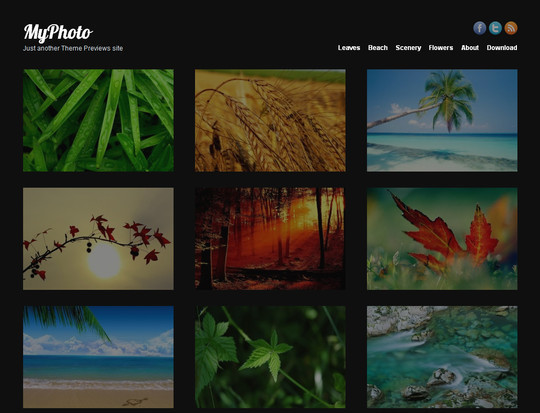 50��Ư����ѵ� WordPress ���⣨�£�