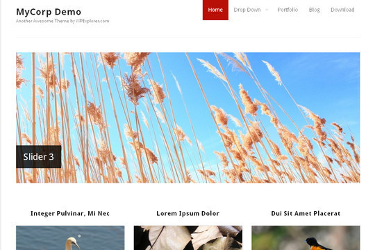 50��Ư����ѵ� WordPress ���⣨�£�