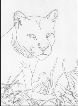 ʨ������Ů��ʨ���ĵĻ��ơ�