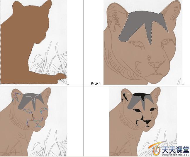 ʨ������Ů��ʨ���ĵĻ��ơ�