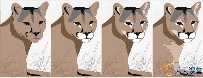 ʨ������Ů��ʨ���ĵĻ��ơ�