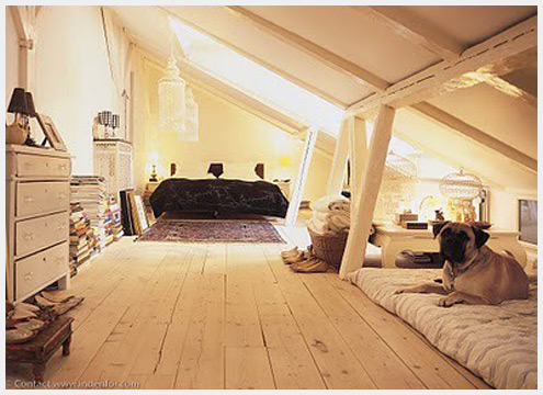 һ����¥��ʱ��������������