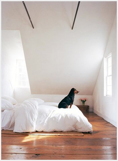 һ����¥��ʱ��������������