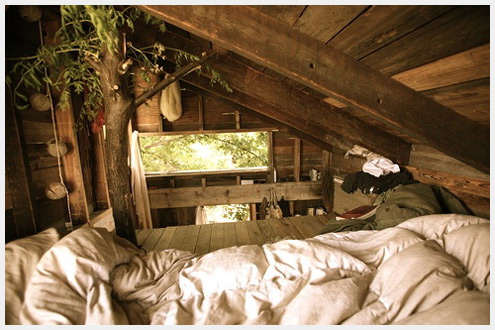 һ����¥��ʱ��������������