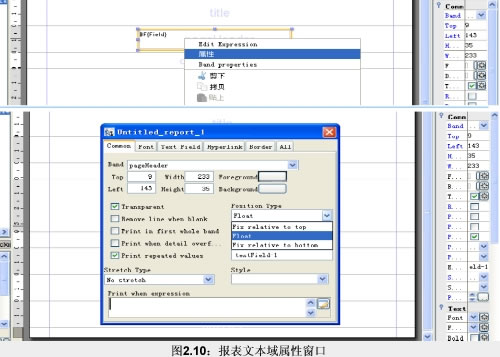  - ʹJasperReport(iReport)WEB