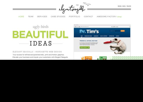 30个精美的容易网站