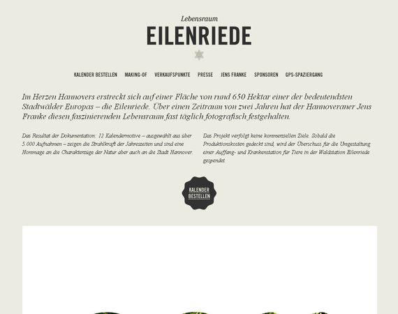 30个精美的容易网站